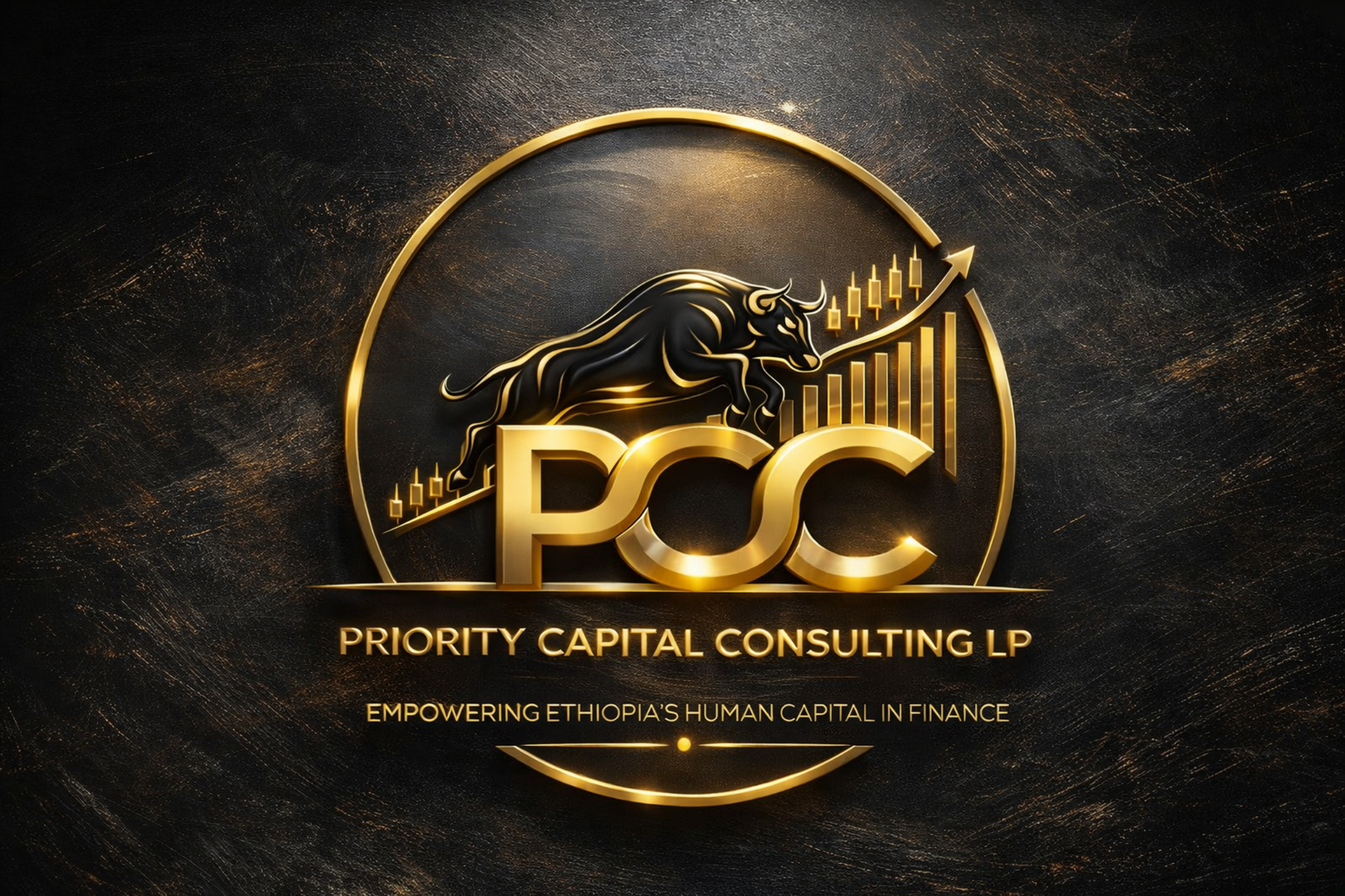 Priority Capital Consulting LP